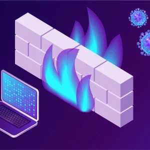 Low Latency Firewall [ Advanced Anti-DDoS ]